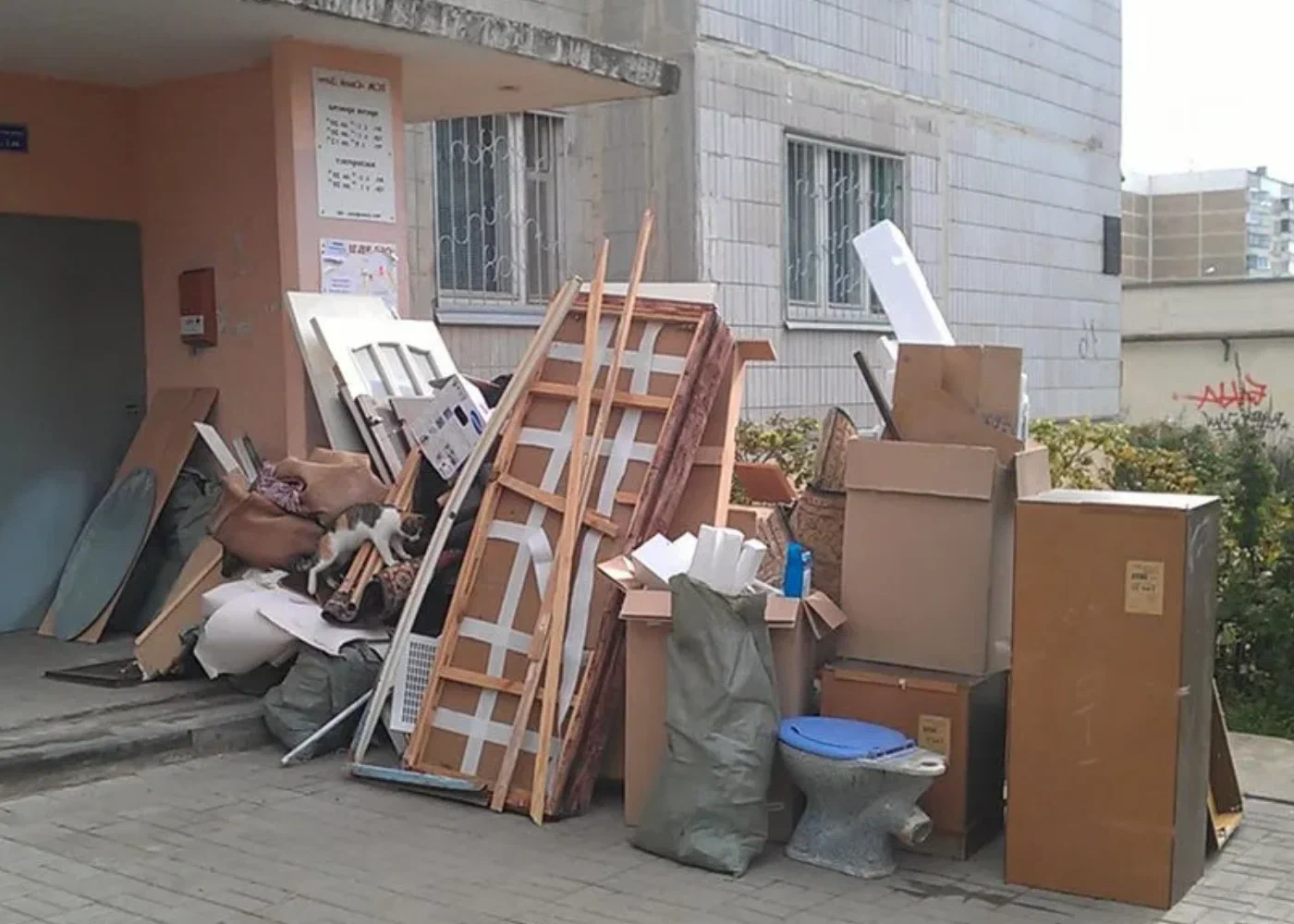 Профессиональный вывоз мусора из квартиры в Волхове в октябре