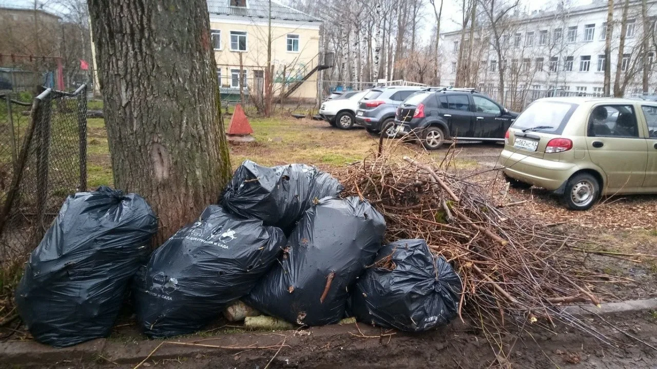 Вывоз мусора после субботника в Волхове от ПроМусор – уборка и утилизация отходов от 2460 руб