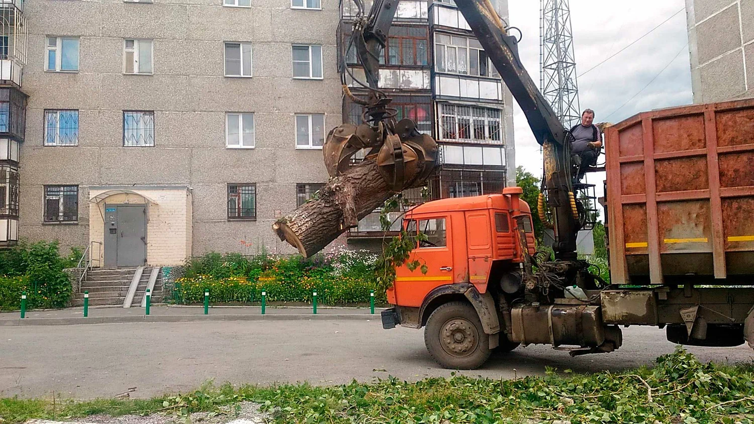Вывоз спиленных веток и деревьев в Волхове от ПроМусор: порубочные остатки, утилизация, цена от 3036 руб