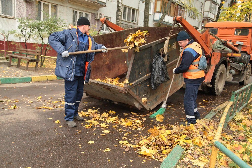 Вывоз опавшей листвы и растительного мусора в Волхове от ПроМусор – цена от 4711 руб., быстрая уборка и утилизация